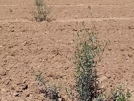 vend terrain agricole