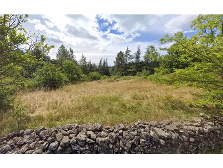 terrain saint-pierre-saint-jean m² t- à vendre  79 000 €