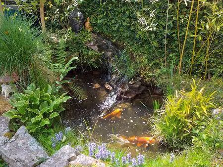 location appartement 1 pièce 10 m² à bayonne (64100)