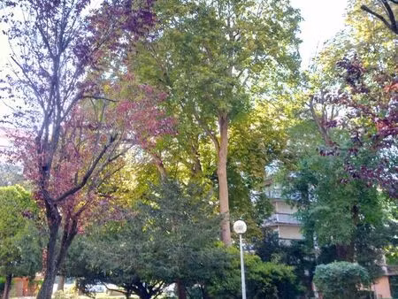 studio 33 m2 /meuble/ parking ferme/cave/ chauffage inclus