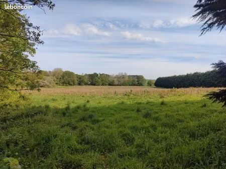 terrain chevaux/ animaux