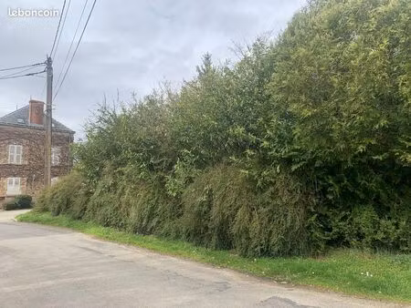 terrain constructible