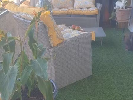 une oasis en plein centre la garde