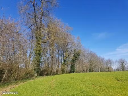 bois forêt 0 37 hectares