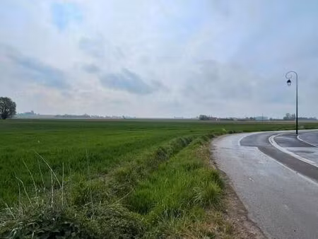 terrain 1 180 m² eringhem