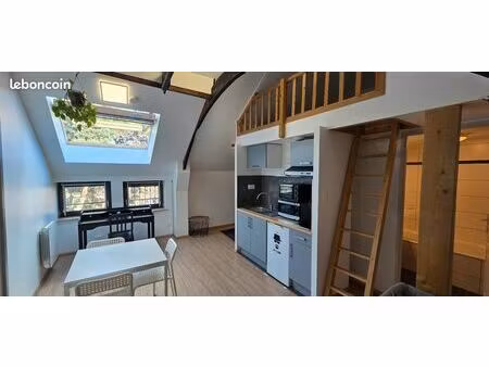 studio appartement meublé 25m² nancy centre rue des fabriques