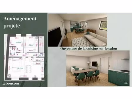 t3 68 m² à rénover – fort potentiel – centre-ville avec jardin commun