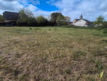 terrain constructible