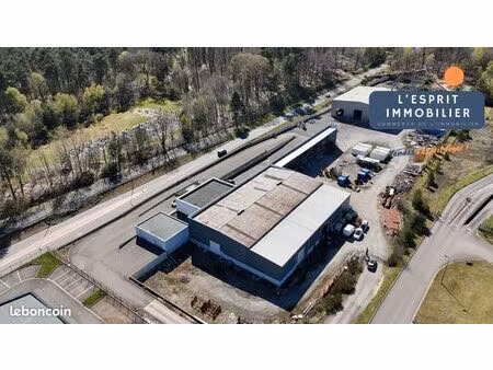 local 20397 m² saint-avold