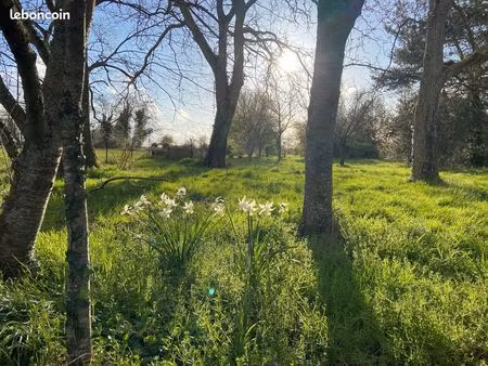 terrain constructible recloses