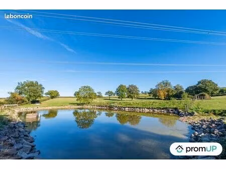 terrain 46 710 m² saint laurent d andenay