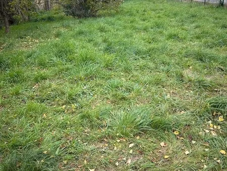 terrain constructible 485 m2