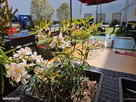 275m2 restaurant fond de commerce