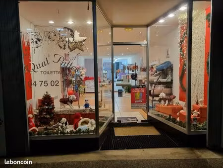 salon de toilettage  fonds de commerce à reprendre à romans-sur-isère – matériel complet– 