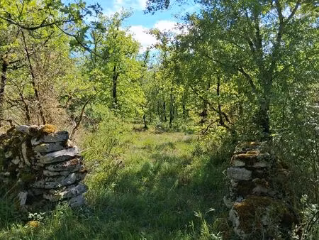 terrain agricole- bois