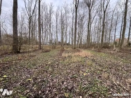 terrain 34604 m² st venant