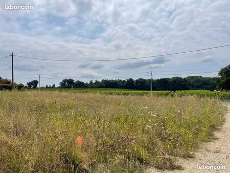 terrain 550 m² cursan