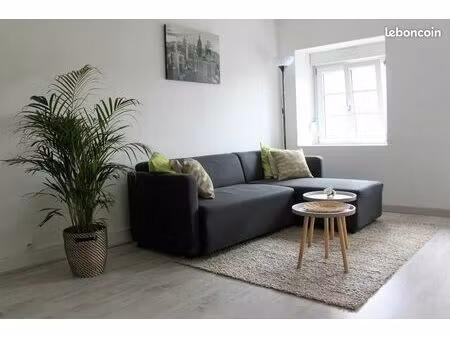 appartement rénové en centre ville