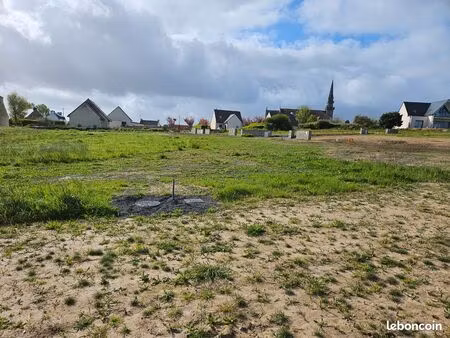 terrain constructible