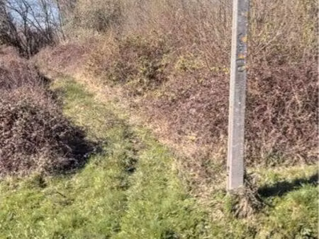 vends terrain agricole