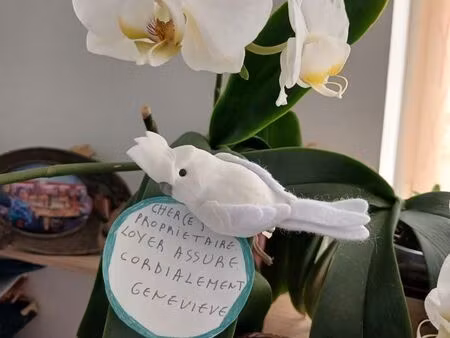 recherche logement aux herbierd