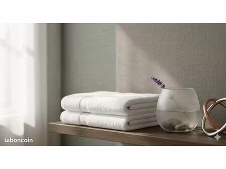 fonds de commerce esthétique & laser - secteur vallée du gier