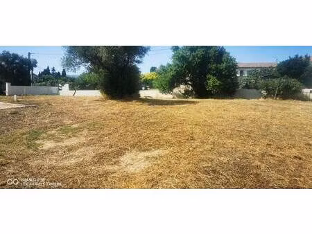 terrain constructible viabilisé à vendre