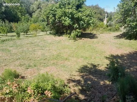 terrain constructible