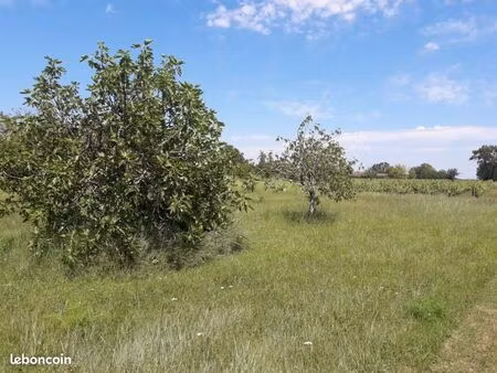 terrain 700 m² langoiran