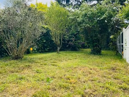 terrain arboré à vendre - 211m² - grenade sur garonne
