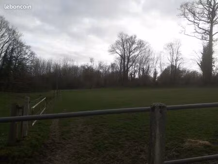 terrain pour chevaux