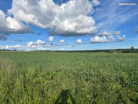 terrain constructible viabilisé