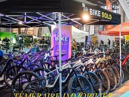 temeraire immobilier