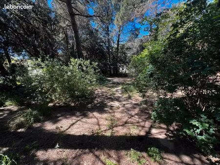 maison à rénovée de 150m2 sur 1500m2