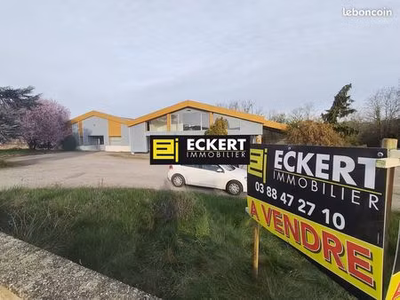 immeuble 900 m² odratzheim