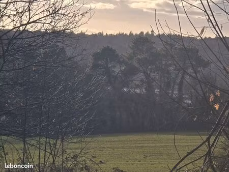 terrain constructible