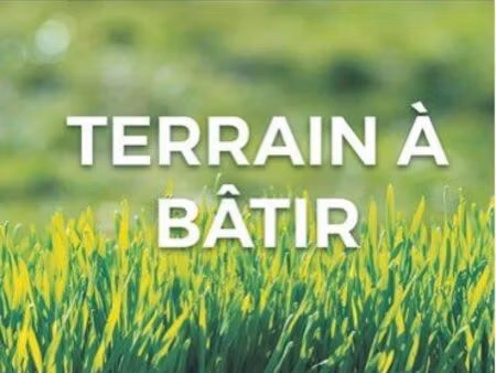 terrain constructible