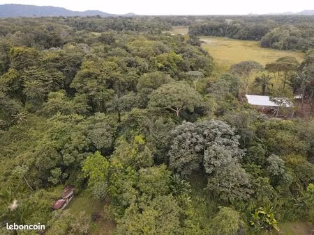 foncier de 47893 m² à matoury la levée