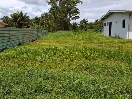 terrain 9753 m² à matoury – idéal investisseur – lotissement potentiel