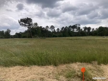 terrain 2 024 m² saint savin