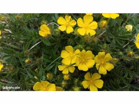 recherche petite ferme