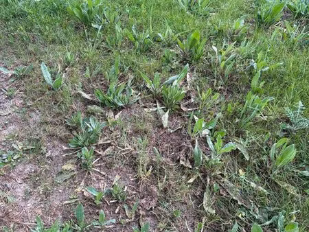 terrain constructible à erdeven