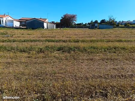 terrain constructible