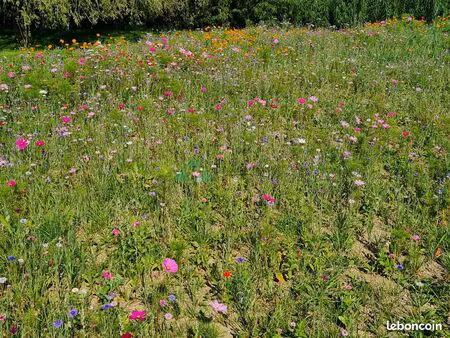 terrain 2086 m² winkel