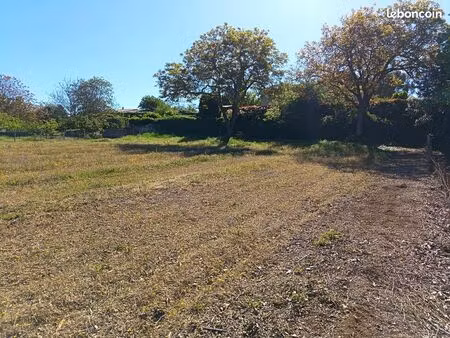 terrain constructible