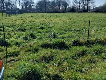 terrain constructible