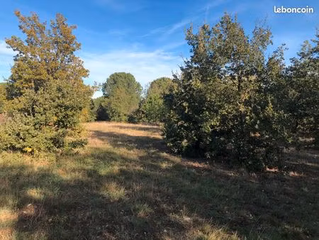 terrain agricole - 4 hectares constructible pour agriculteur