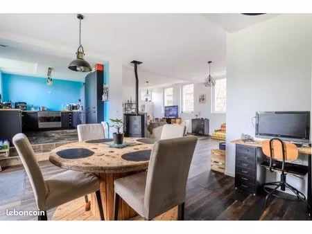 maison atypique et lumineuse 228m² — volumes xxl — family room — jardin arboré — secteur a