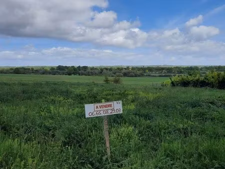 terrain constructible