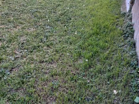 terrain 200m2 particulier à particuliers